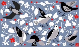 Birdy door Jenny Frean