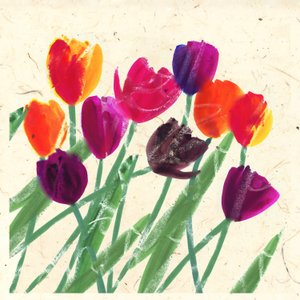 Hollandse schoonheden