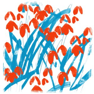Rode Sneeuwklokjes door Jenny Frean