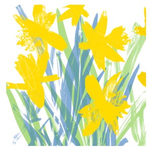 Lente narcissen