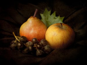 Stilleven ‘Dark Harvest’ door Jerome Zakka Bajjani