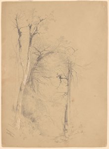 Kauterskill Kloof door Jervis McEntee
