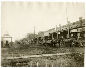 Arkansas 1903 door Jessie Tarbox Beals