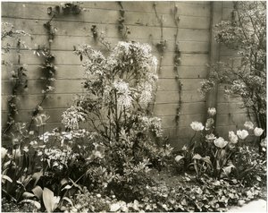 De heer en mevrouw John Morgan, 39 W 11 St, Andromeda plant, Greenwich Village, New York, VS, ca. 1939-40