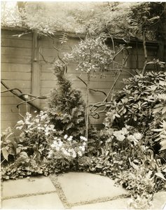 Dhr. & Mevr. John Morgan, 39 W 11 St, Greenwich Village, New York, USA, ca. 1939-40 door Jessie Tarbox Beals