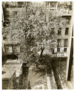 Mevrouw W H Wells 265 W 11th