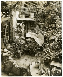 Zwembad met terras Huis van George en Mary Stonehill, Greenwich Village, New York, VS, c.1936-37 door Jessie Tarbox Beals