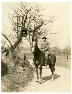 Roland Young, c.1905-27