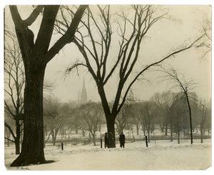 The Common, Boston, VS, ca. 1902-10 door Jessie Tarbox Beals