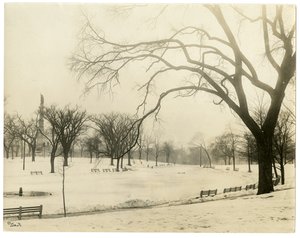 The Common, Boston, USA, ca. 1902-10
