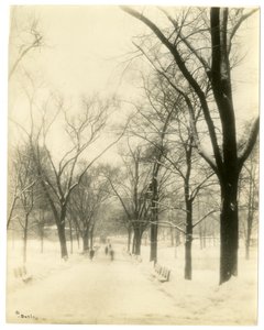 The Common, Boston, USA, ca. 1902-10 door Jessie Tarbox Beals