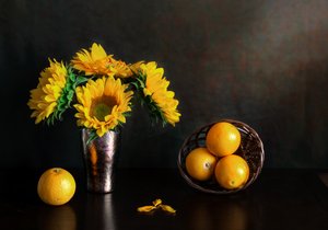  door Jie Fischer