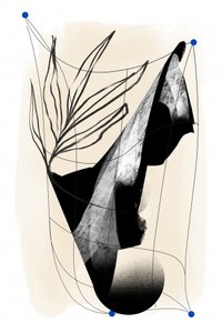  door Jilli Darling