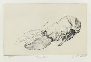 Kreeft door Jim Monson