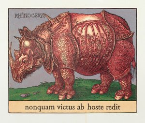 Rode Neushoorn door Jim Monson