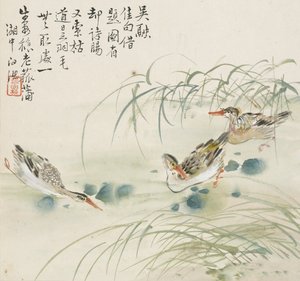 Drie eenden zwemmen in een vijver, 1857 door Jin Yuan