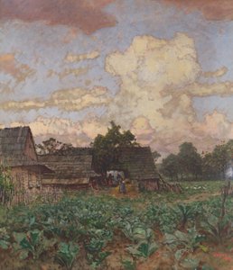 Boerderij in Silezië door Jindřich Tomec