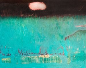 Groen veld bij maanlicht door Joackim Schou Dahle