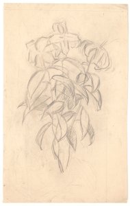 Bloemenstudie