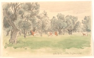 Grieks landschap met olijfbomen en grazend roodbonte vee door Joakim Frederik Skovgaard