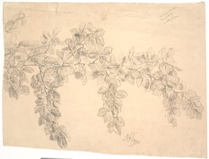 Studie van een beukentak door Joakim Frederik Skovgaard