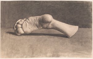 Tekening naar gips. Een voet