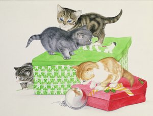 Vier kittens