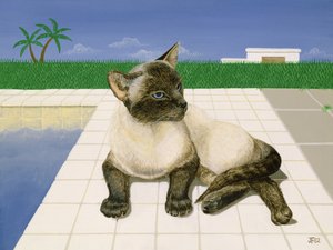 Siamese kat bij een zwembad door Joan Freestone