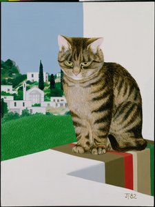 Cyperse kat in het raam