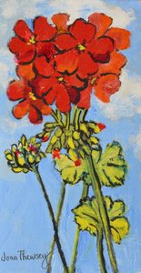 Geranium Spray, 2017 door Joan Thewsey