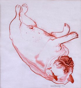 Hogarth Slapend
