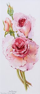 Rozen (Abraham Derby), 2010