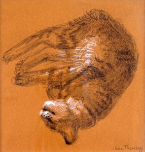 Slapende Cyperse Kat, 2005 door Joan Thewsey