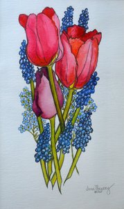 Tulpen, muscari en vergeet-me-nietjes, 2002