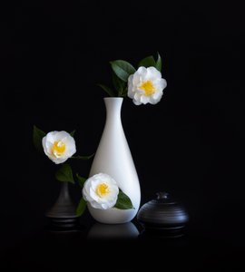 Stilleven met witte camelia’s door Joanna W