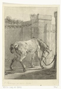 Een paard aan een paal vastgebonden