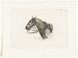 Paardenhoofd naar links