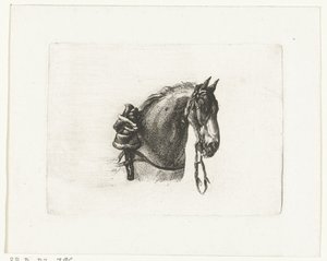 Paardenhoofd naar rechts door Joannes Bemme