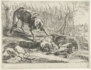 Twee honden