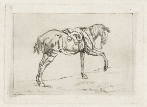 Gezadeld paard