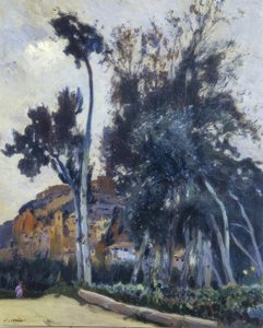Miravet door Joaquim Mir i Trinxet