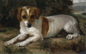 HOND