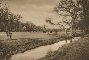 Waar Beverley Brook door het Koninklijk Jachtpark van Richmond slingert. Circa 1935