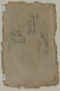 Studies van een stier, 1864