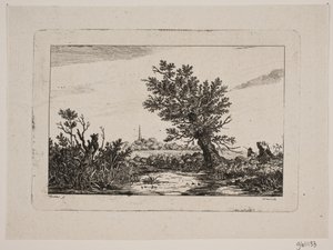 Landschap