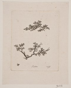 Twee takken door Johan Bülow