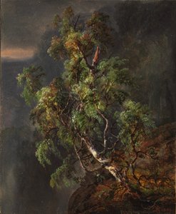Berkenboom in een storm door Johan Christian Dahl