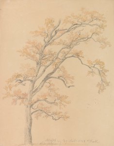 Eiken met herfstbladeren, Milicz door Johan Christian Dahl