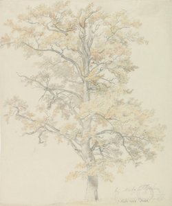 Eiken met herfstbladeren, Milicz door Johan Christian Dahl
