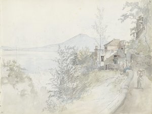  door Johan Christian Dahl